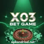 X03 Game