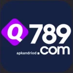 q789-game