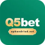 Q5bet Game