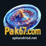 Pak67 Game App Latest Version Logo