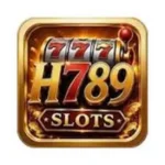 H789 Game For Android